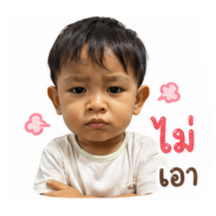 Bazil_20260428140420