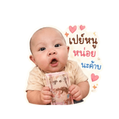 Wayu1_20260428140601
