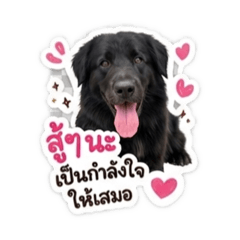 Nkiikky_20260428140513