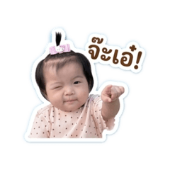 Zeefa_20260428140440