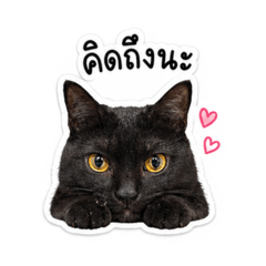 Jelly.J_20260428135709
