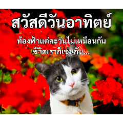 Qospel_20260428140636