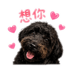 乖乖貼圖（可卡布）