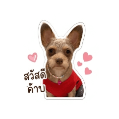 ChanomV.1