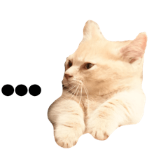 mat_20260504125744