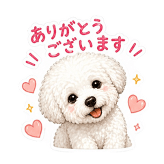 Maro_20260504130226