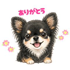 yama_20260504135032