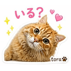 Tora's Daily Stickers _8