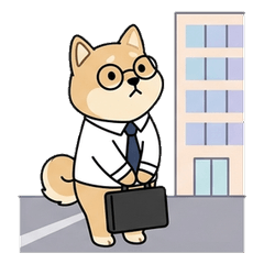 Glasses Shiba Inu, Started Working