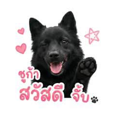 SugarDog-Vol.1