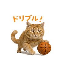 nakky_20260504211503