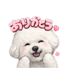 nao.volleyball_20260504202653