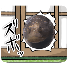 rui_rui_20260504221712