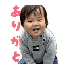 aym.t_20260504221822