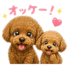 elk_20260504221454