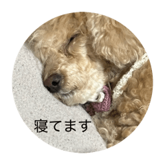 Japan_20260504221846
