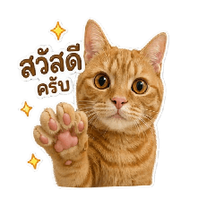 Bovy_20260428135832