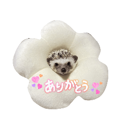 JURAmama_20260504222045