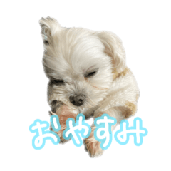 onigiri_20260504222606