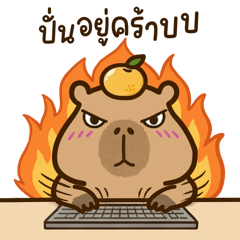 Kapi Capybara 26 Office Boy