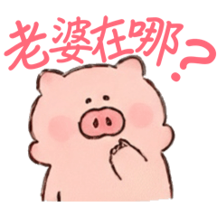 豬豬兔兔夫妻的日常