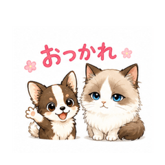huruchi_20260504222801