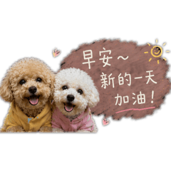 雙寶Q圓 ❤️