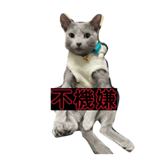 tori_20260504223128