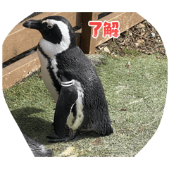 rui_rui_20260504223706
