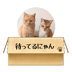 TSUBASA_20260504222840