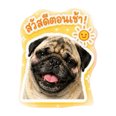 Aomlet.suk_20260501235315