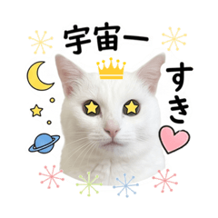 Mikazuki_20260504212056