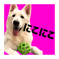 d iwi b_20260504223407