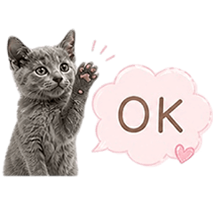 Speech bubble Russian blue