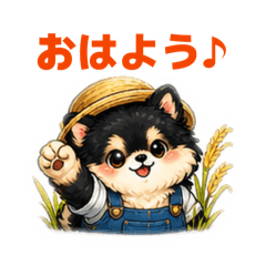 REPEATER_20260504222728