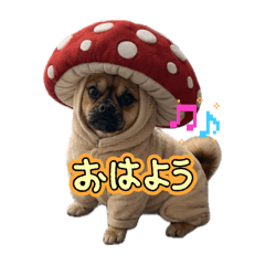 Ken_20260504221716