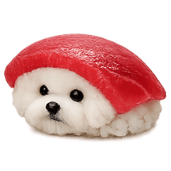 Bichon Frise turned into sushi fix