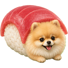 壽司博美犬