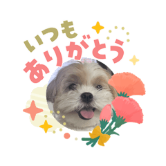 kotaro_stamp_1