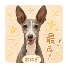 F.Ohagi Part1