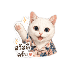 Jiwmeowza_20260428140732
