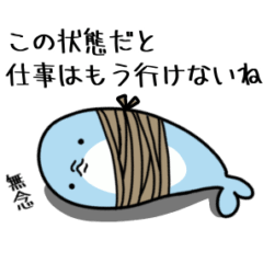 dolphin interesting Sticker