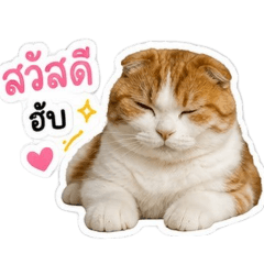 Khao Pan kub pom