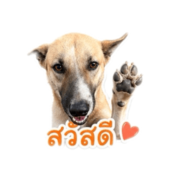 Bang Kaew Jom-Kuan