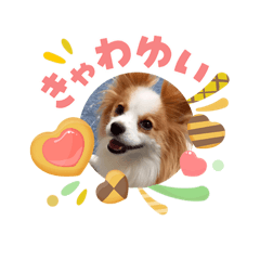 Custom-hide_20260504155653