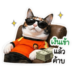 Mamzzone_20260430204452