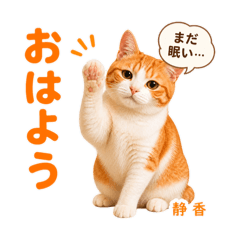 hakuraku_20260504155525