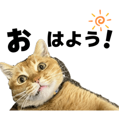 maru_20260504225128