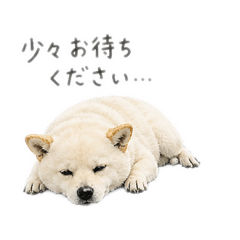 mami._20260504225431