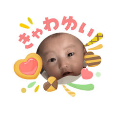 maco_20260504225357